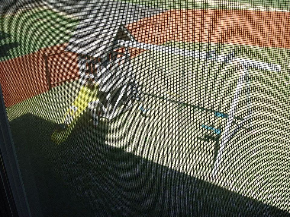 Backyard