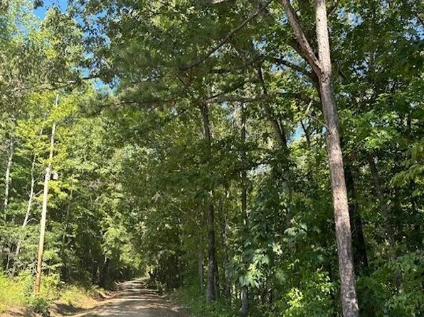 0 County Road 834, Wadley, AL 36276