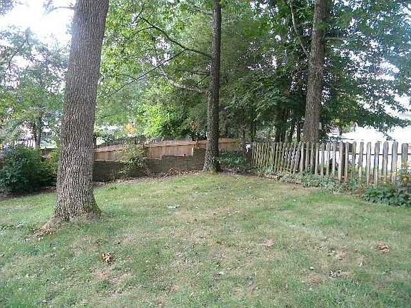 back yard