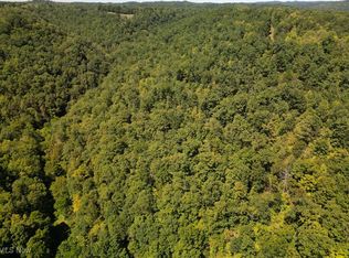 2926 White Pine Rd, Grantsville, WV 26147