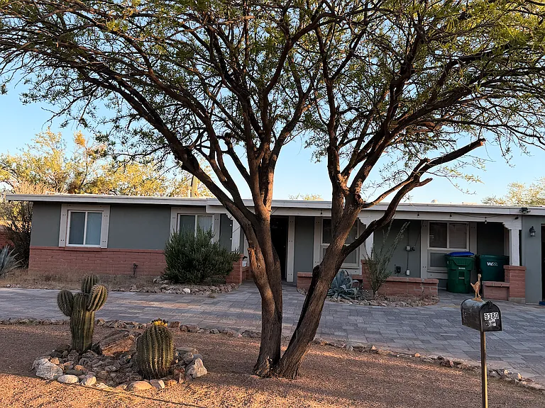 front yard