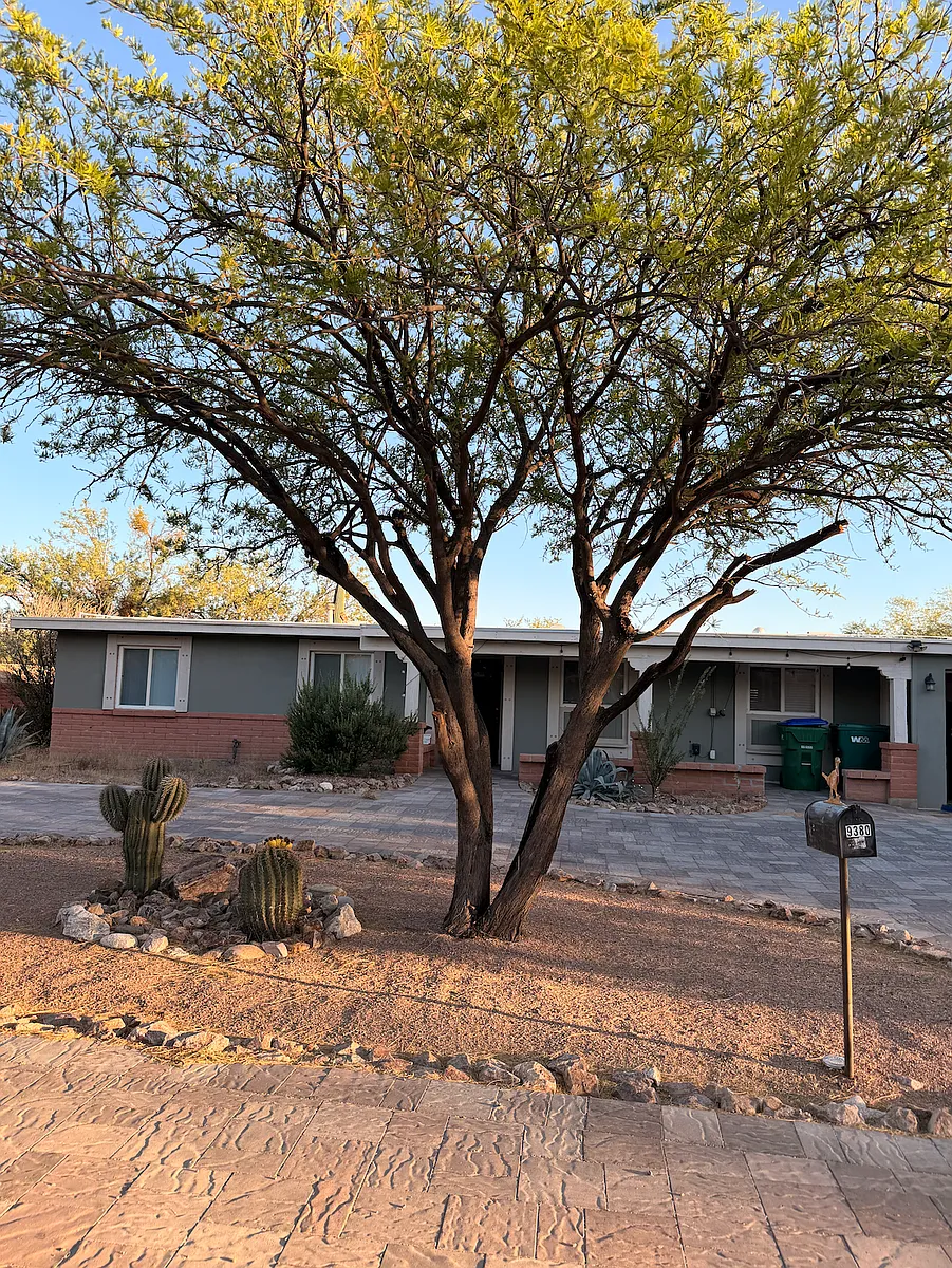 front yard - 9380 E Walnut Tree Dr