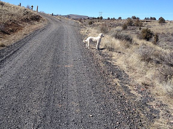 .25 mile gravel driveway