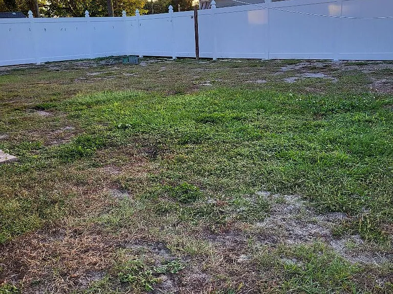 The Backyard covered with brand new Vinyl Fences private