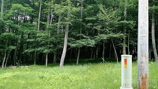 2nd image of 106 Sawmill Branch Rd