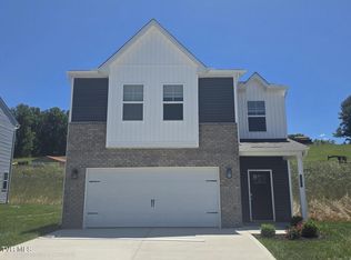 123 Mint Ct, Bluff City, TN 37618