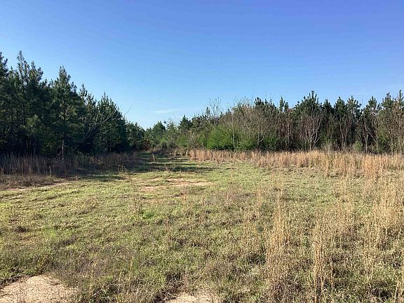 3rd image of 86 Carlisle Rd