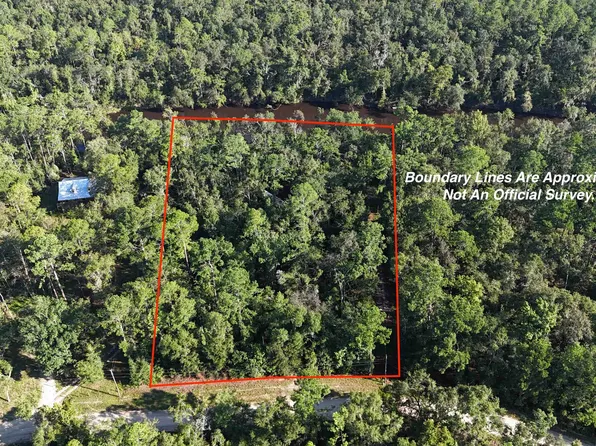 31 & 32 NE Madison Bluffs Way, Lee, FL 32059