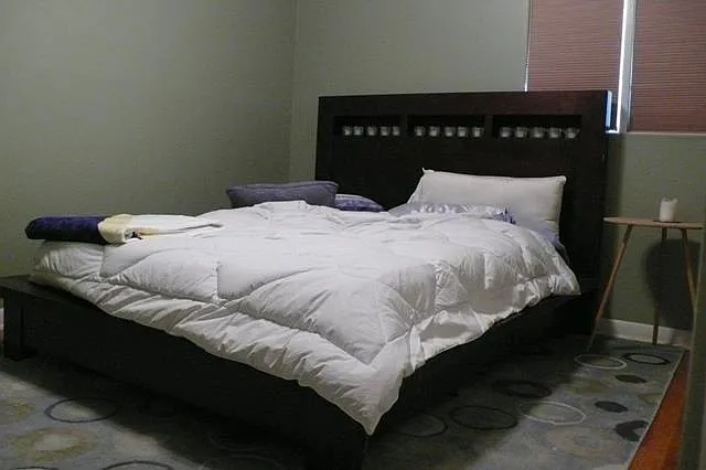 2 bed, 748 sqft, $2,450 — Photo 3
