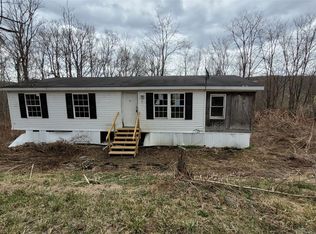 273 Back West Creek Rd, Newark valley, NY 13811