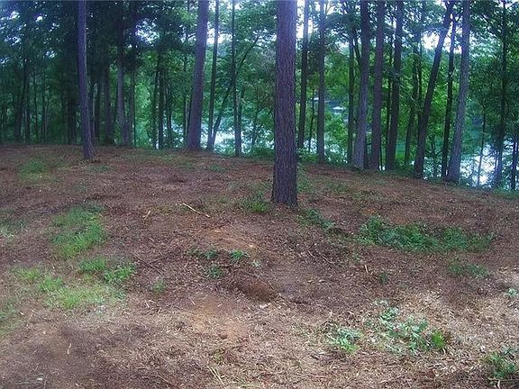 4th image of 7 Little Keowee Bay Blvd