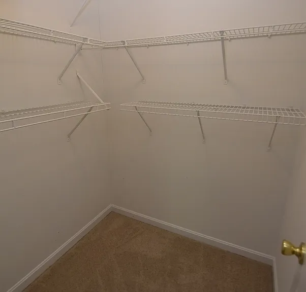 8725 Spring Brook Way — Photo 20