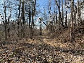 3rd image of 0 Worley Cove Rd