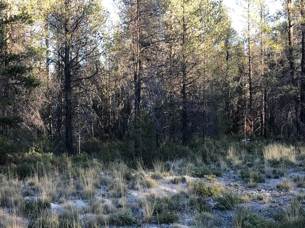 Munson Drive Block #3-lot 1, Chiloquin, OR 97624
