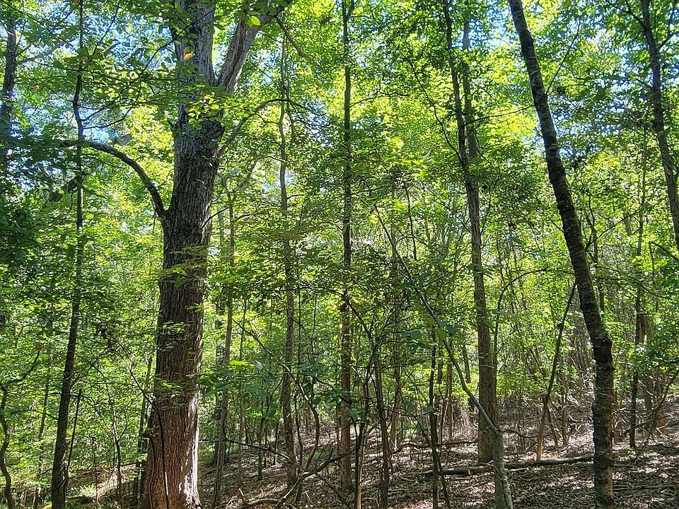 2nd image of 5 Ripplewood Trl