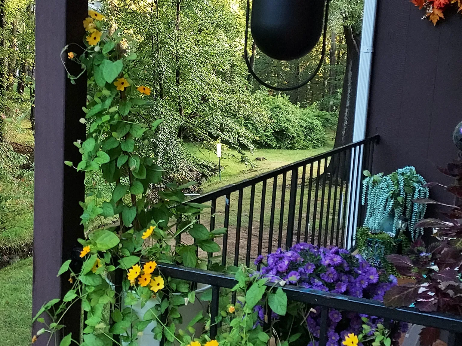 2 bed, 1000 sqft, $1,675 — Photo 1