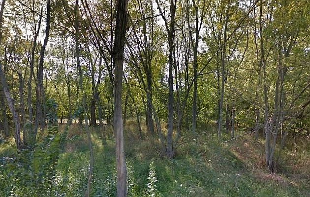 1st image of 24716 N River Shore Dr