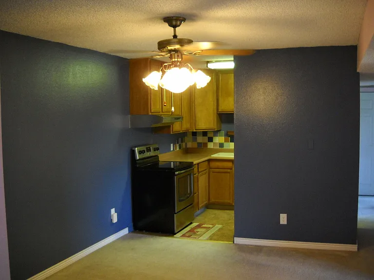 5124 Williams Fork Trl #203 — Photo 6