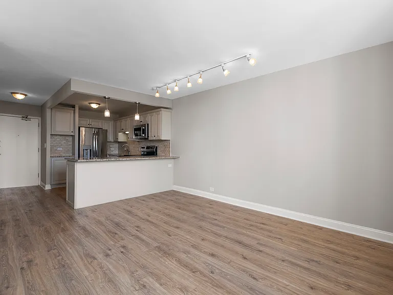 1355 N Sandburg Ter #1403D — Photo 5