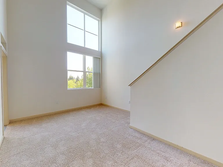 Paragon — Photo 27
