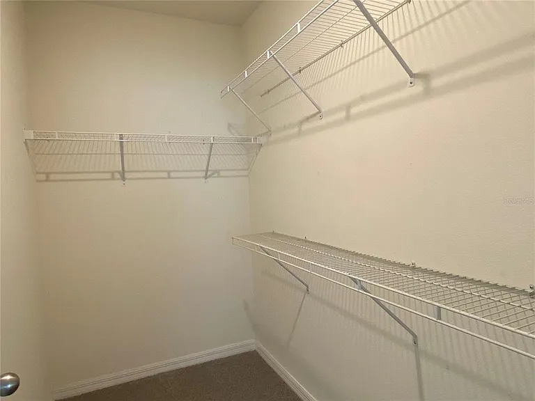 33801 Jasmine Star Loop — Photo 14