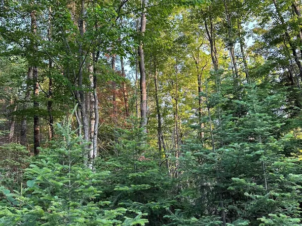 S Shag Lake Dr, Gwinn, MI 49841