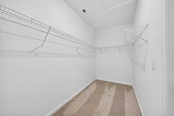 124 Limbury Ct — Photo 27
