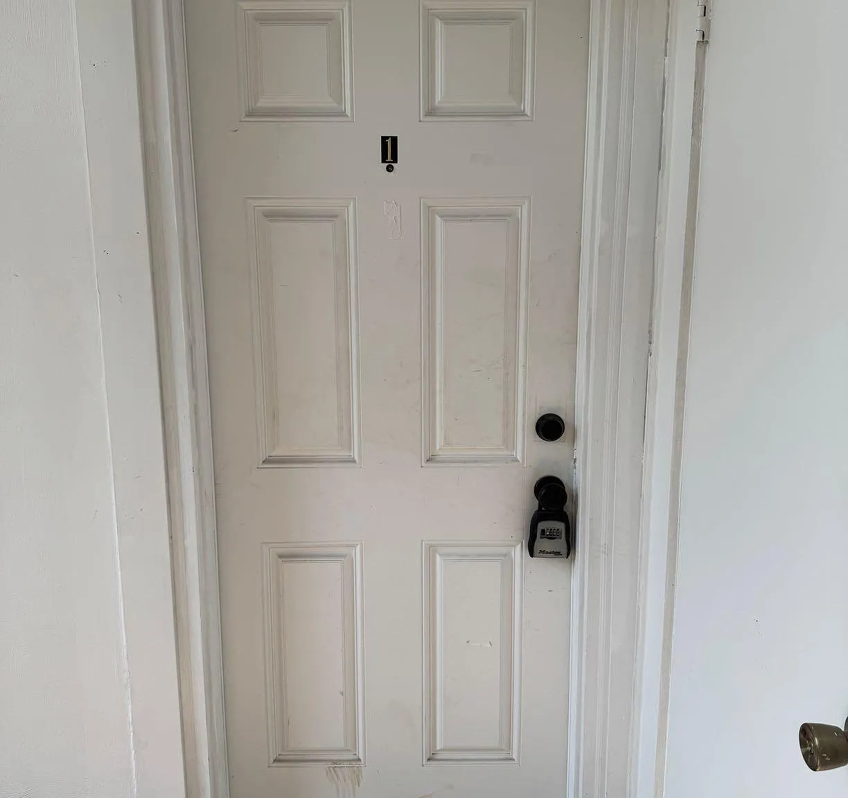1 bed, 1.0 bath, 700 sqft, $738 — Photo 2
