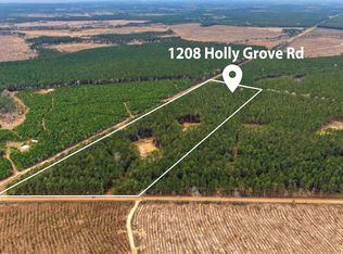 1208 Holly Grove Rd, Livingston, TX 77351