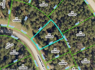 0000 Crown Peak Court, Brooksville, FL 34601