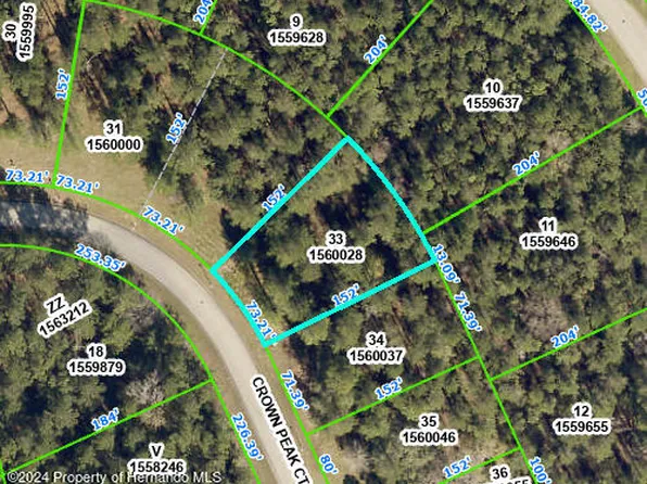 0000 Crown Peak Court, Brooksville, FL 34601