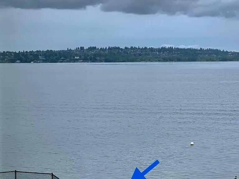 Lake and Pool view. Birds such as Great Blue Heron, Bald Eagles are natives to this area. Nest between our buildings.
