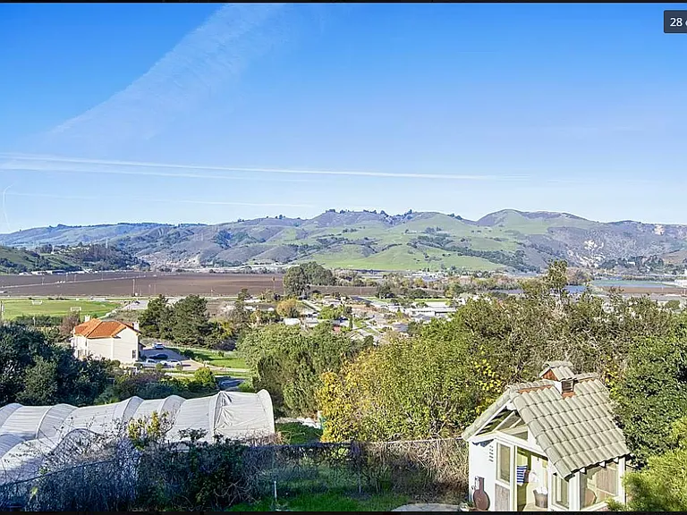 3525 Viola Dr — Photo 5