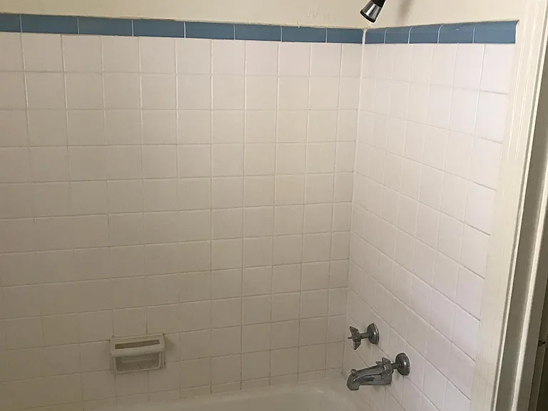 1313 Bissonnet St — Photo 7