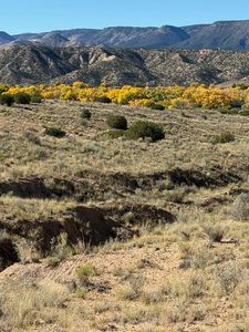 Duane Dr, Abiquiu, NM, 87510