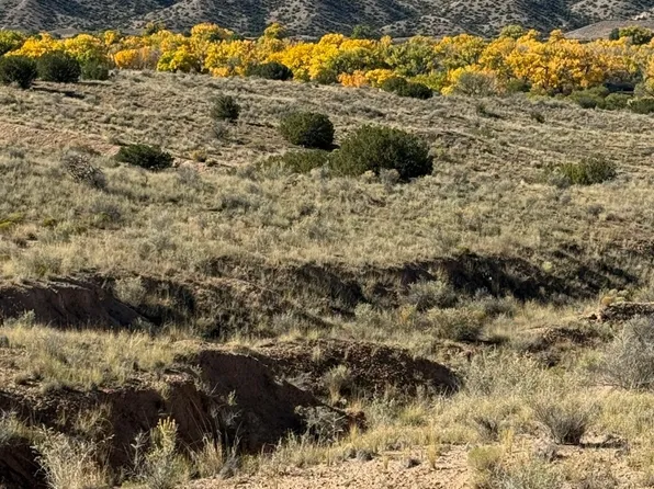 Duane Dr, Abiquiu, NM 87510