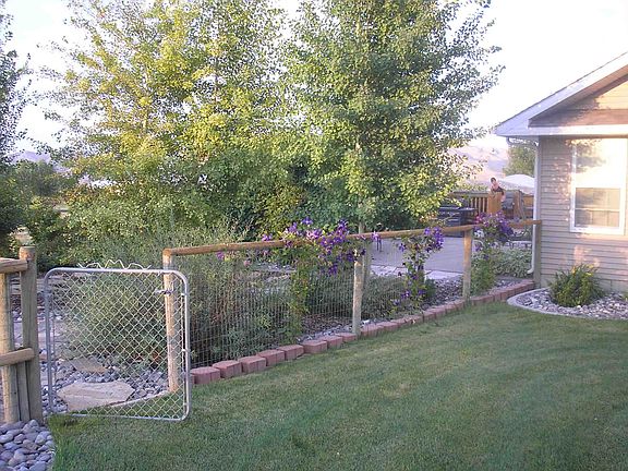Side yard/aspen garden