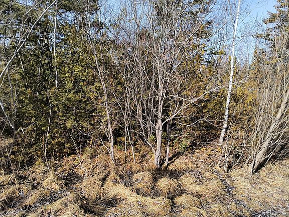 5th image of LOT 12 Karol St