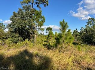 711 Da Vinci Ave S, Lehigh Acres, FL 33974