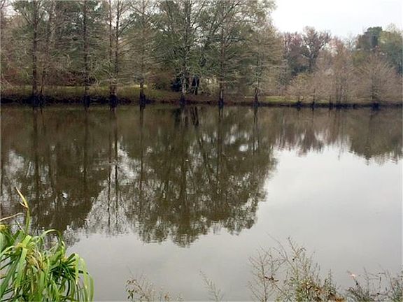 4th image of 219 Lakeshore Dr