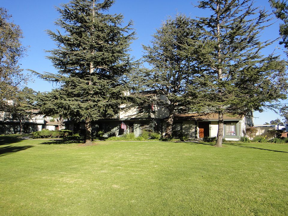 Fabulous Park-Like Setting