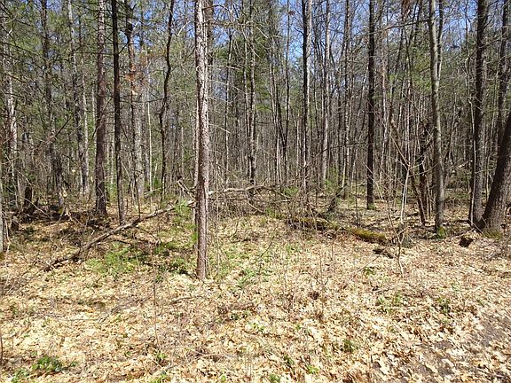 2nd image of 27 Haskell Lake Ln