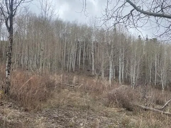 1117 W Arapaho Dr #D140, Coalville, UT 84017