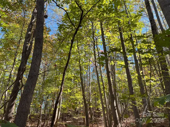 Brindlewood Dr #67-68, Nebo, NC 28761