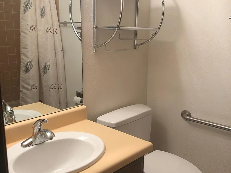 Hall bathroom