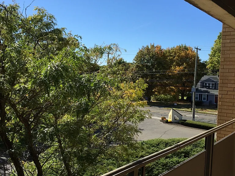 Chestnut Hill South — Photo 21