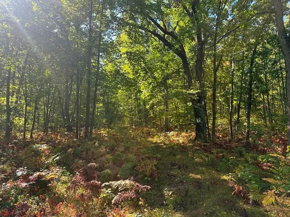 300-31 Easement Rd, Harrison, MI 48625