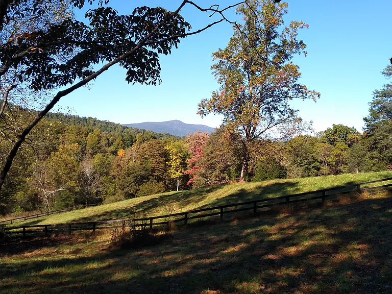 Taylor Creek Rd — Photo 25
