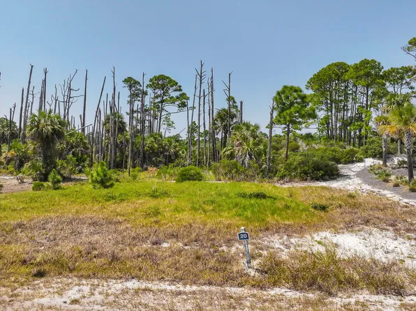 251 Cord Grass Way, Port Saint Joe, FL 32456