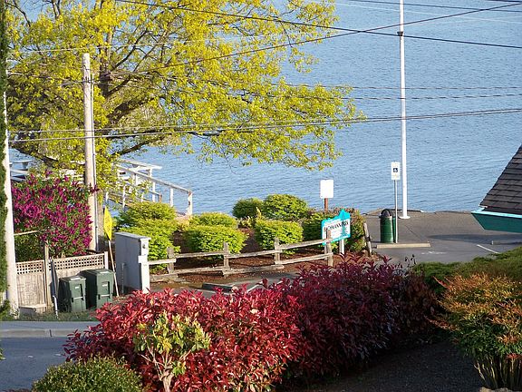 Bachmann Park view
